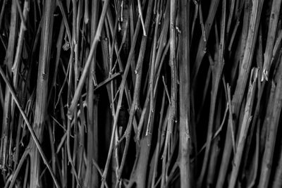 Full frame shot of sticks
