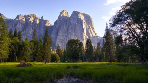 Panoramic shot of trees on mountain against sky