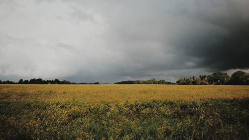 Scenic view of field against cloudy sky