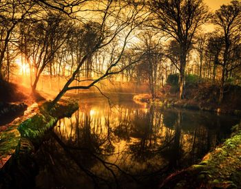 Scenic view of lake during sunset