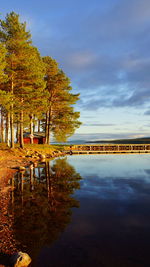 Scenic view of lake by trees against sky