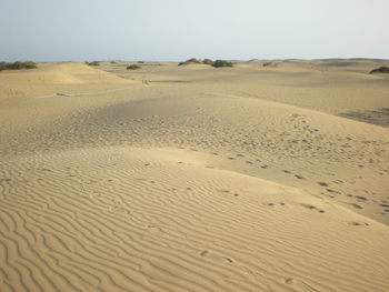 Sand dunes in desert against clear sky