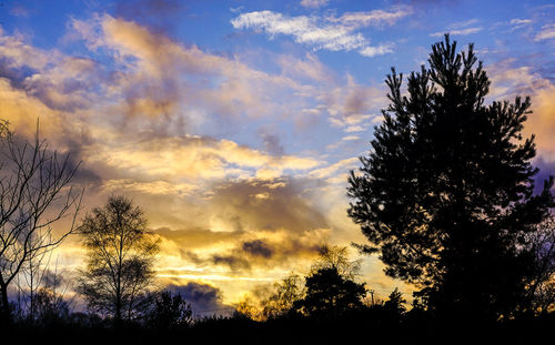 Silhouette trees against sky at sunset