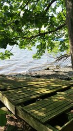 Scenic view of tree by water