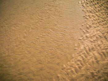 High angle view of sand on beach