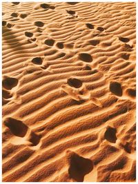 Full frame shot of sand dune