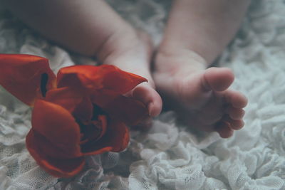 Low section of baby on bed