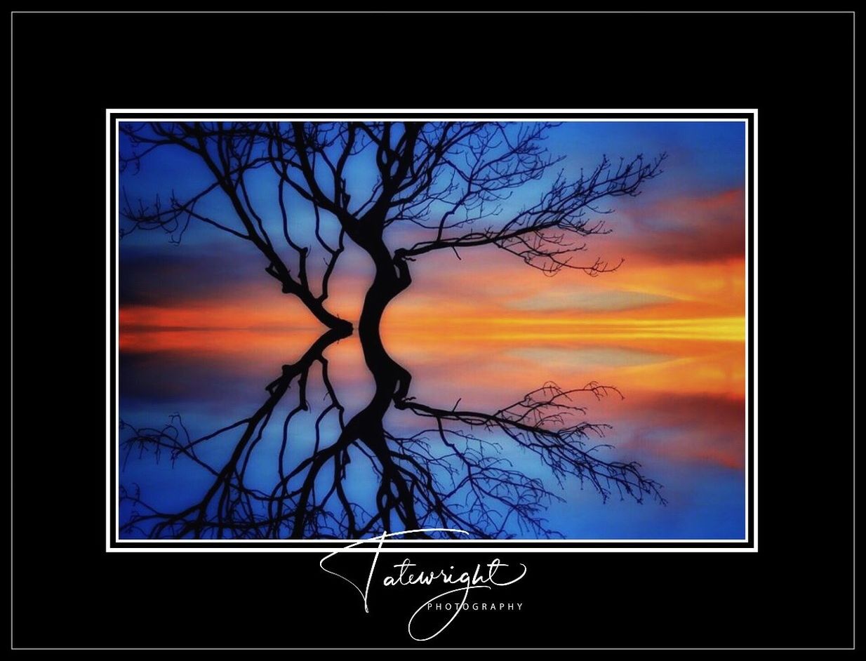 sunset, sky, tree, plant, no people, nature, orange color, cloud - sky, silhouette, bare tree, text, blue, shape, communication, geometric shape, beauty in nature, outdoors, design, multi colored, technology