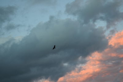 Low angle view of silhouette birds flying in sky