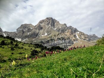 Scenic view of landscape and mountains against sky