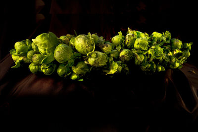 High angle view of brussels sprouts