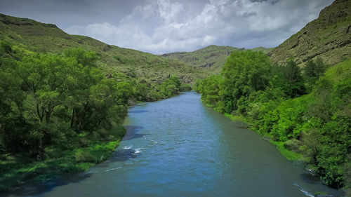 Scenic view of river amidst trees against sky