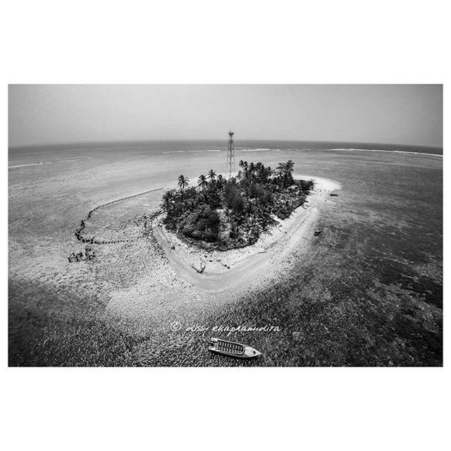 transfer print, sea, horizon over water, water, auto post production filter, beach, tranquil scene, tranquility, shore, scenics, sand, beauty in nature, nature, coastline, sky, clear sky, ocean, idyllic, outdoors, tree