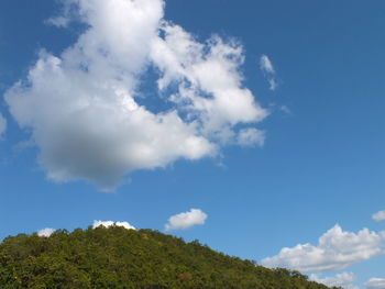 Low angle view of trees against blue sky