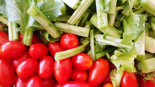 Close-up of tomatoes