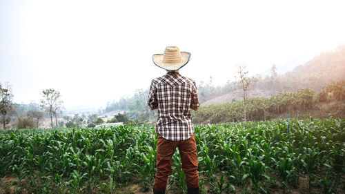 Rear view of man standing in farm