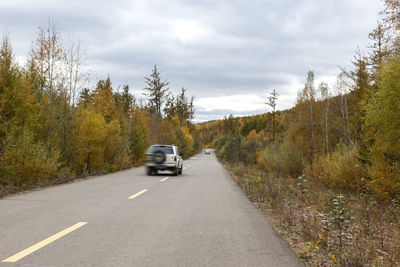 Car on road amidst trees against sky