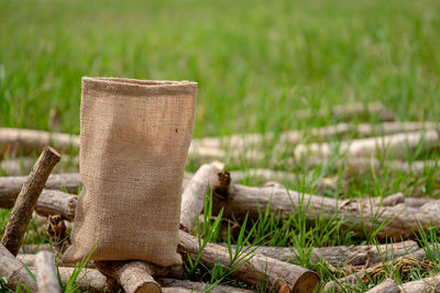 Close-up of wood on field