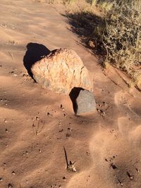 High angle view of person on rock at beach