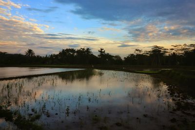 Scenic view of lake against sky during sunset