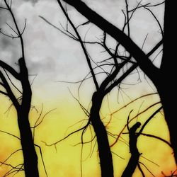 Low angle view of bare tree against sky