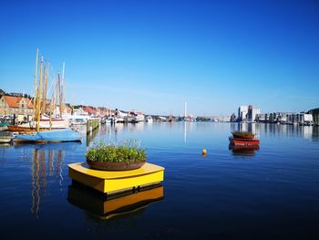 Sailboats moored in harbor