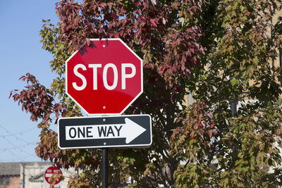 Stop sign against red, yellow and green fall leaves