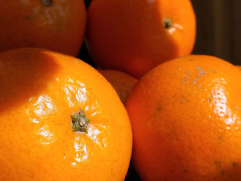 Close-up of orange