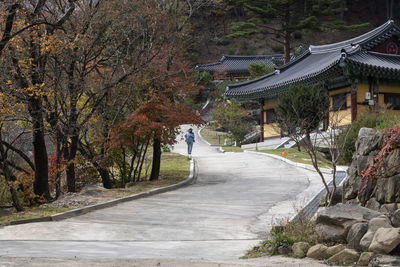 Footpath amidst trees in park