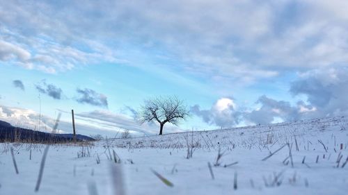 Scenic view of snow covered field against sky