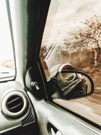 Close-up of car window