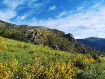 Scenic view of land against sky