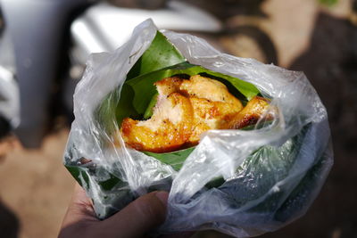 Cropped image of person holding food in plastic bag