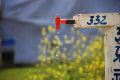 Close-up of text on pole against blurred background