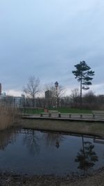 Reflection of bare trees in water