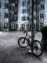 Bicycle parked at roadside