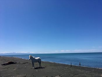 Scenic view of sea against clear blue sky