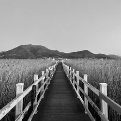 black and white