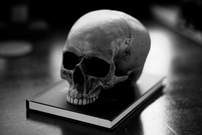 Close-up of human skull