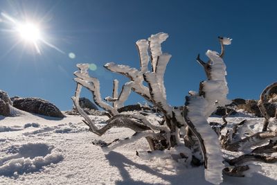 Scenic view of snowcapped mountains against blue sky