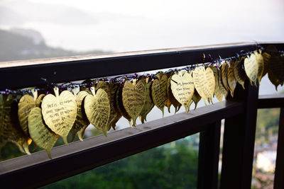 Close-up of clothes drying on railing against sky