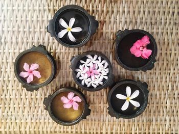 Directly above view of flowers in containers on table