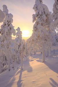 Snow covered landscape against sky during sunset