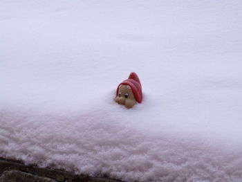 Close-up of garden gnome in snow