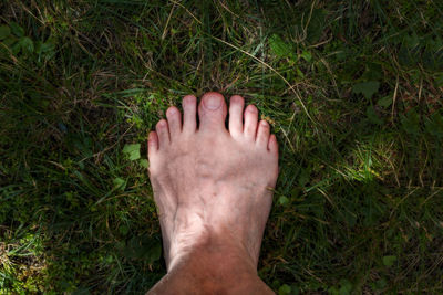 Low section of human feet on grass