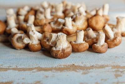 Close-up of mushrooms on table