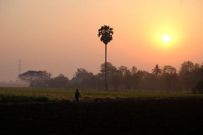 Silhouette person on field against sky during sunset