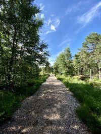 Empty road along trees