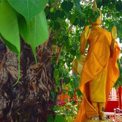 Rear view of woman standing by tree