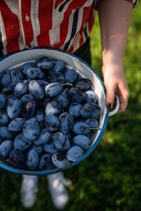 Low section of woman holding grapes in container while standing on field